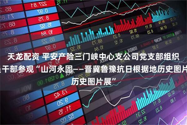 天龙配资 平安产险三门峡中心支公司党支部组织党员干部参观“山河永固——晋冀鲁豫抗日根据地历史图片展”