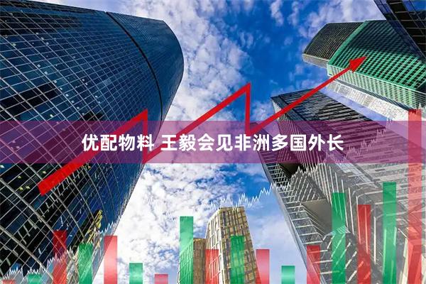 优配物料 王毅会见非洲多国外长