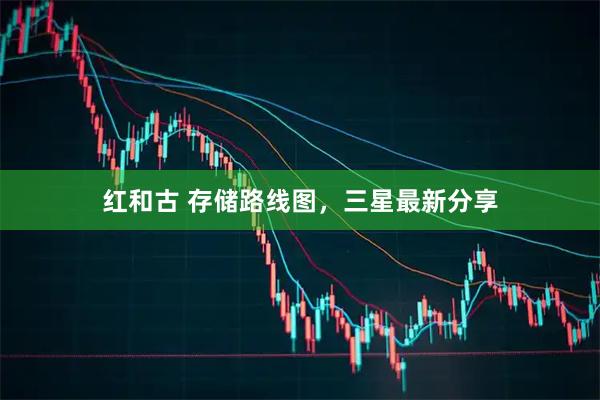 红和古 存储路线图，三星最新分享
