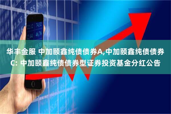 华丰金服 中加颐鑫纯债债券A,中加颐鑫纯债债券C: 中加颐鑫纯债债券型证券投资基金分红公告